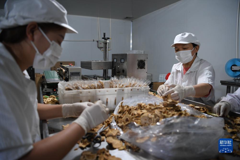 娱乐游戏免费送彩金