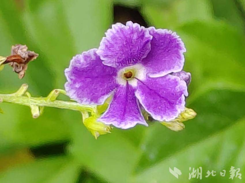 龙虎娱乐平台网址